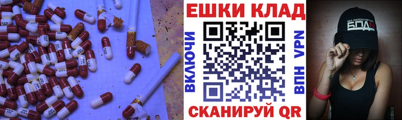 дарнет шоп  Беломорск  блэк спрут сайт  Экстази Philipp Plein 