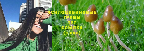 MESCALINE Богородск